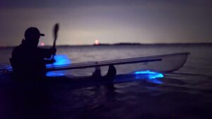 A person paddling during a bioluminescent kayaking tour in Cocoa Beach , on a crystal clear kayak.