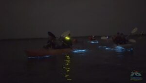 Bioluminescence Florida Kayaking Tours