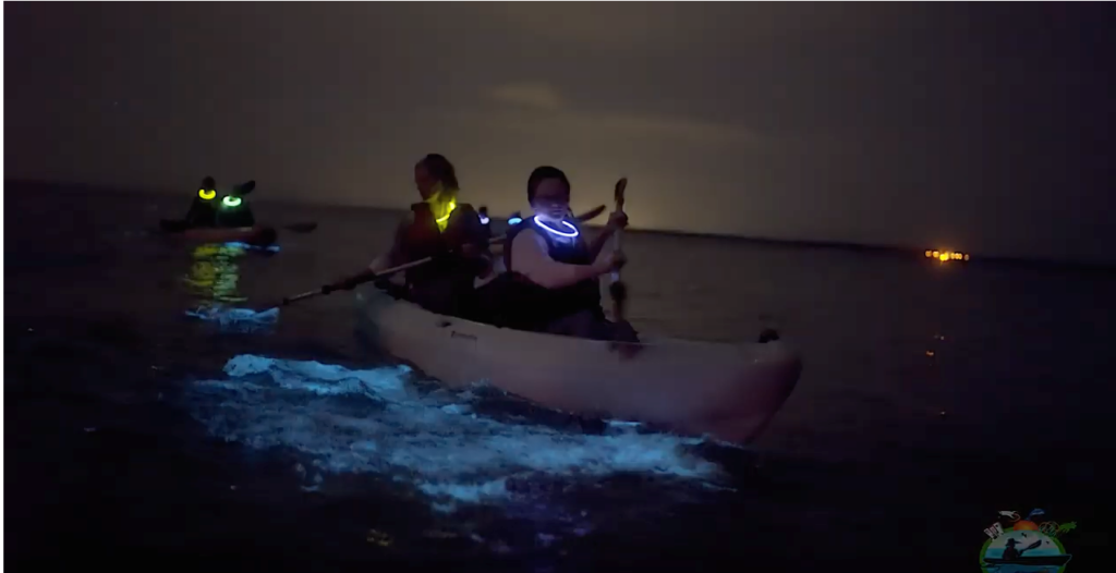 bioluminescence florida