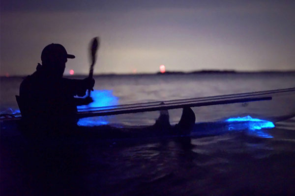 bioluminescent kayaking