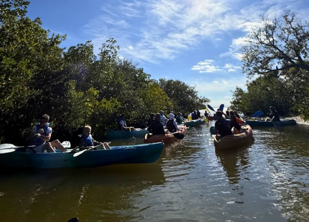 Guests kayaking through calm Space Coast lagoon waters during a Cocoa Beach manatee tour