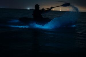 bioluminescence kayaking