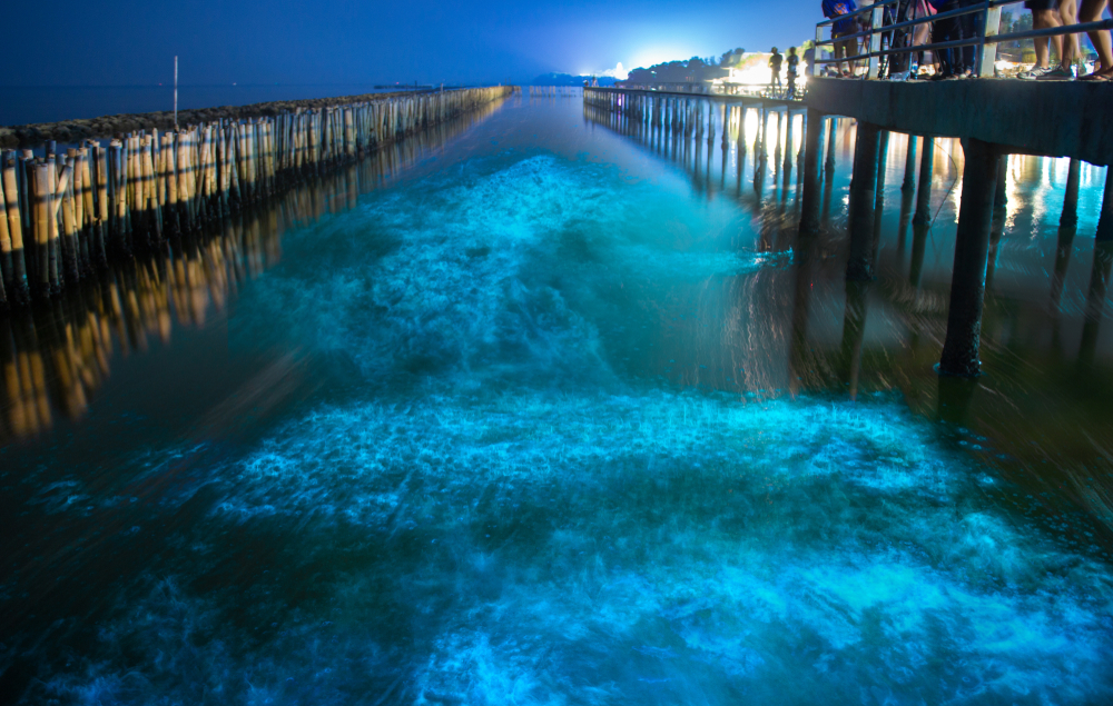 why does cocoa beach glow at night