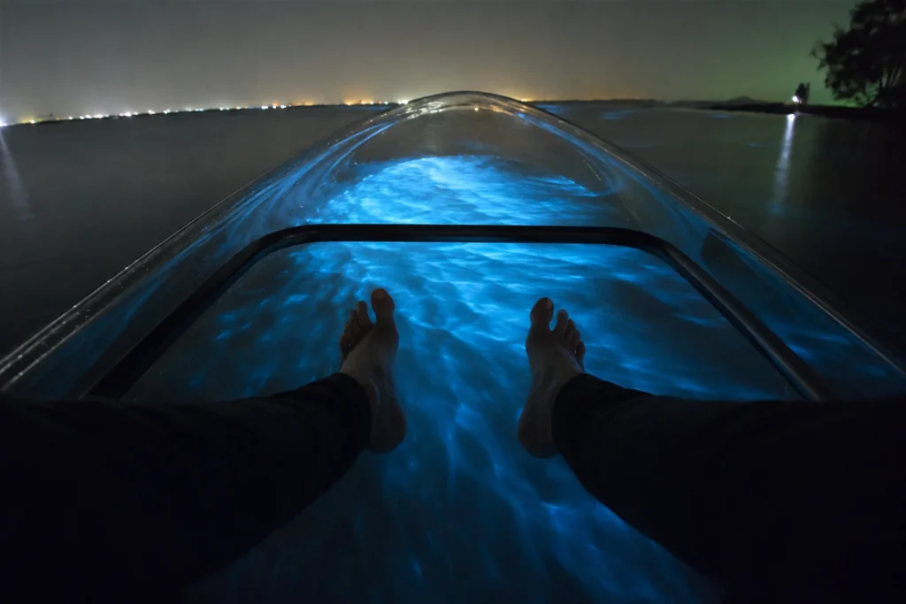 Kayakers viewing blue-green bioluminescence during a guided Titusville lagoon tour