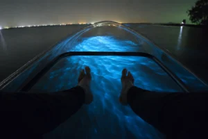 Kayakers viewing blue-green bioluminescence during a guided Titusville lagoon tour