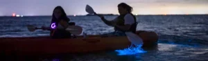 Paddlers kayaking at dusk during a bioluminescence tour on Florida’s Space Coast
